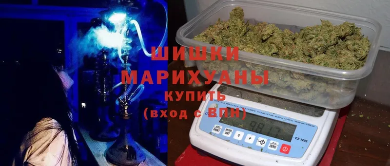 купить наркоту  KRAKEN   МАРИХУАНА сатива  Жиздра 